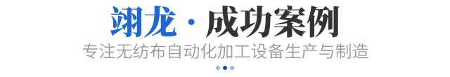 成功案例